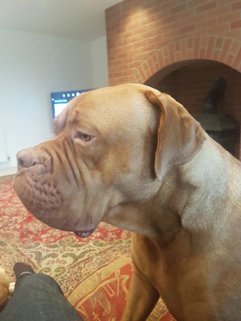 lexi-1.jpg