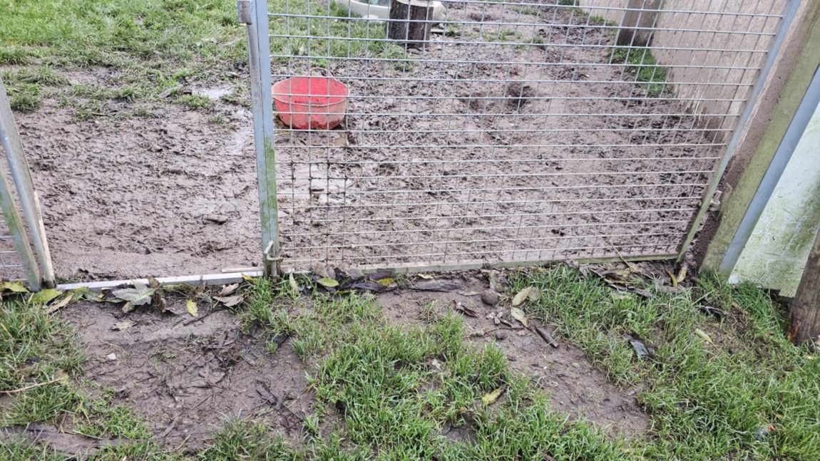 mud1.jpeg