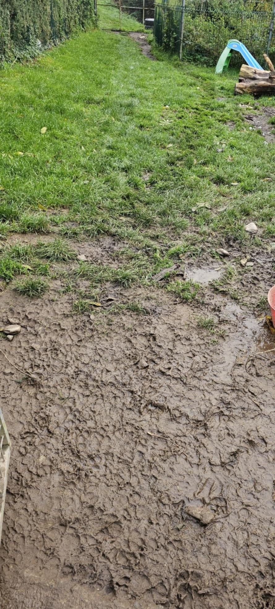 mud3.jpeg