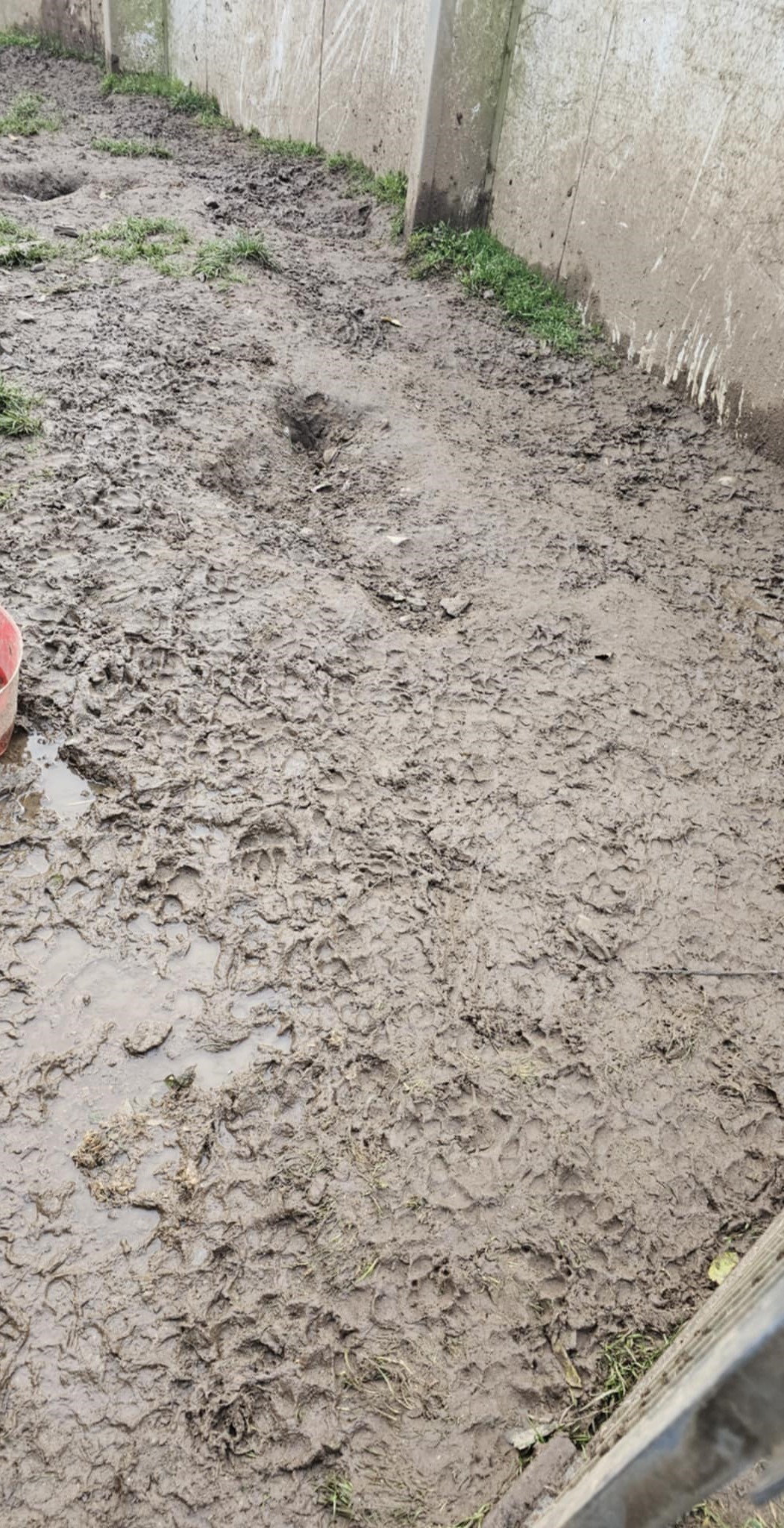 mud4.jpeg