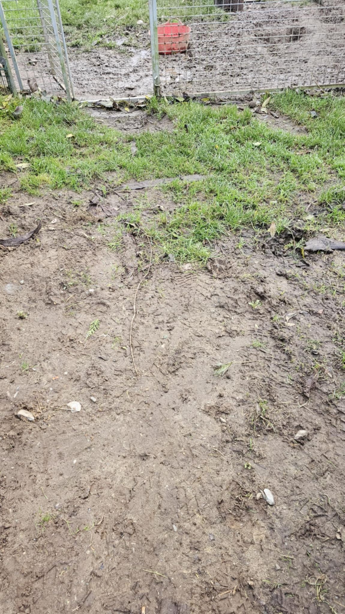 mud5.jpeg