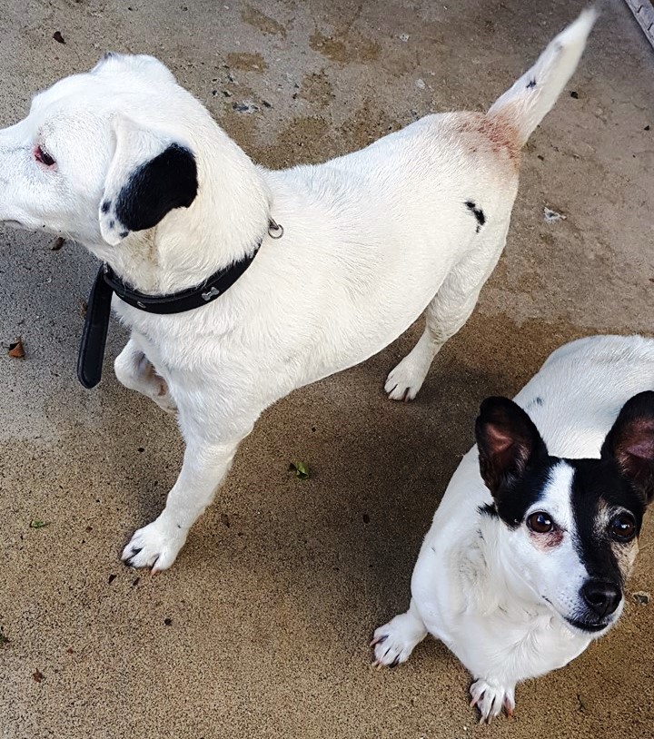 fred-roxie.jpg