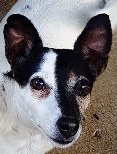 fred-roxie1a.jpg