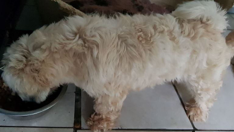 ollie-tilly5.jpg