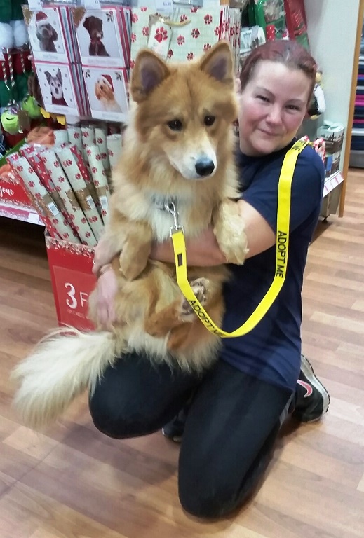 wolfie-pets1.jpg