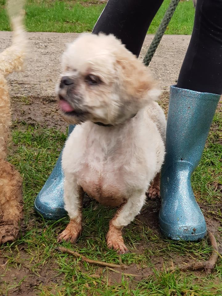 tilly1.jpg