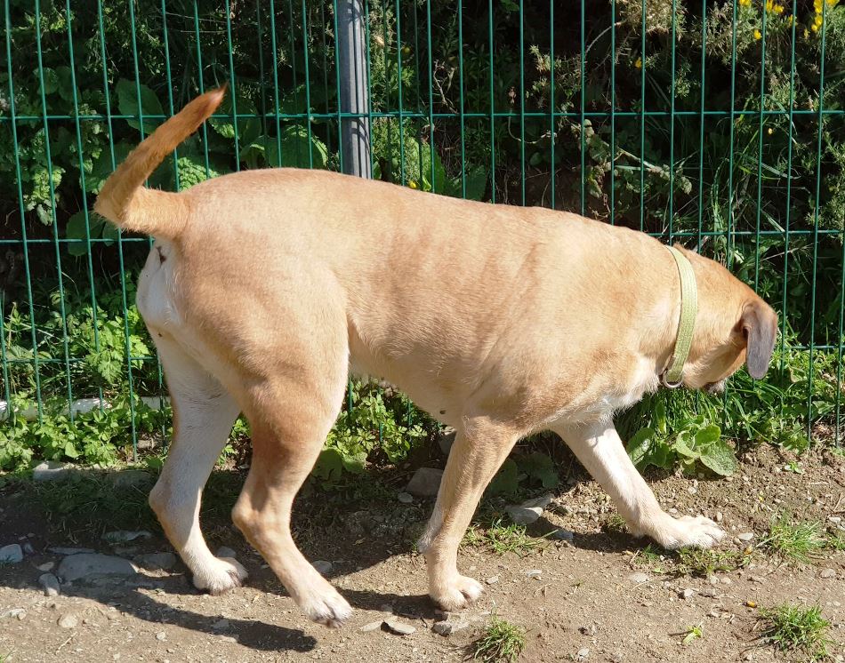 bella10.jpg