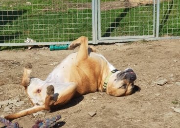 bella13.jpg