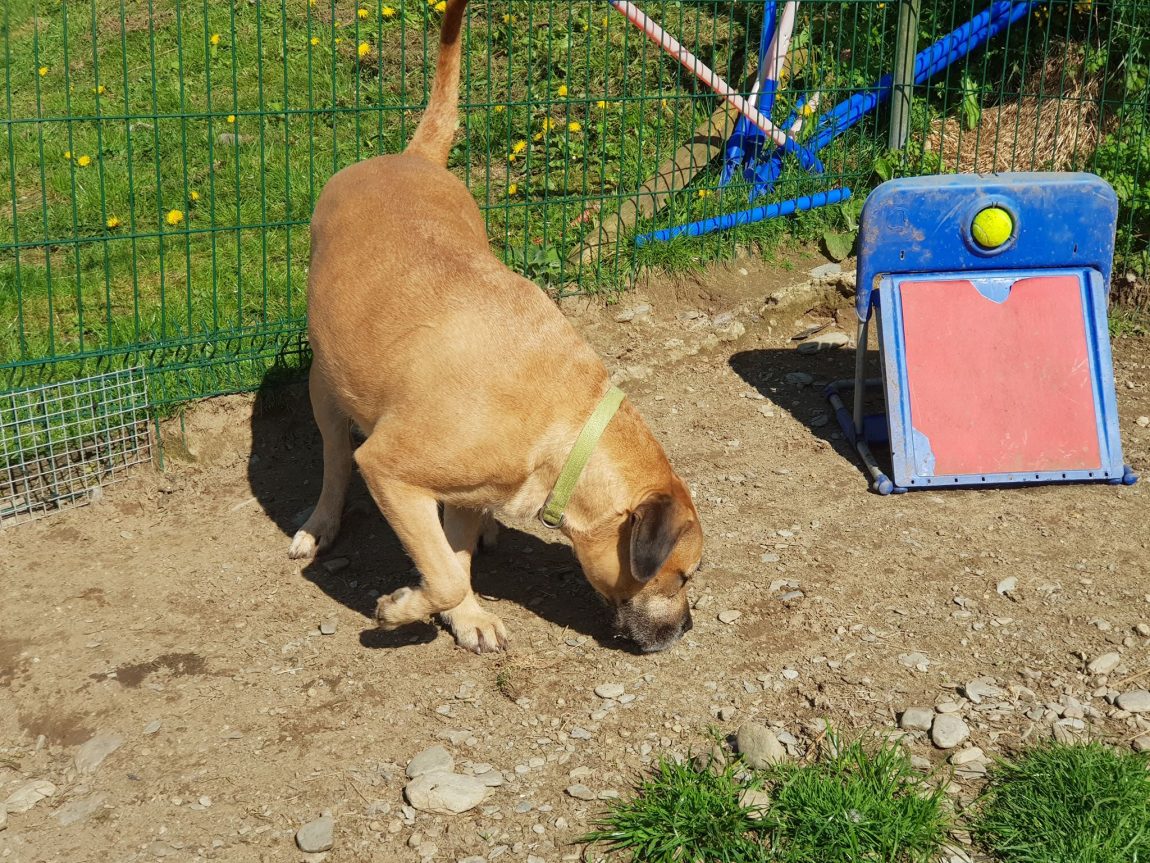 bella5.jpg