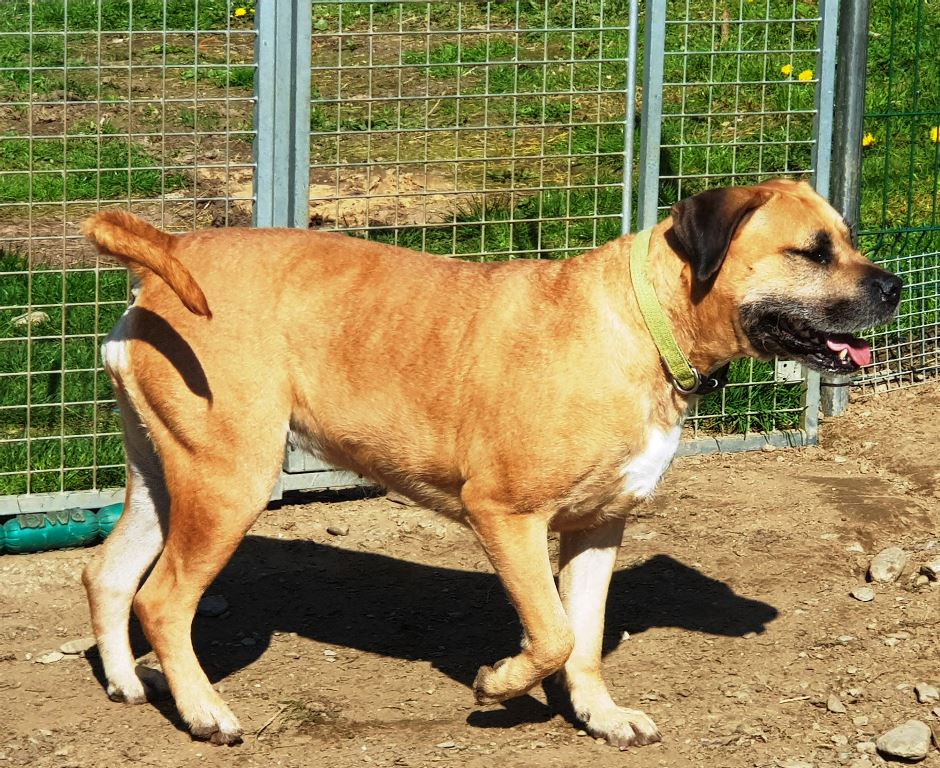 bella7.jpg
