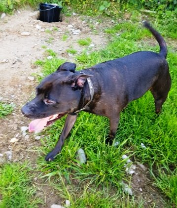 mj.jpg