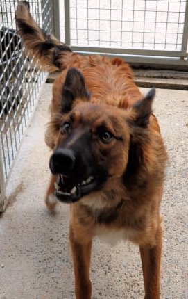 max.jpg
