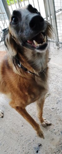 sammy1.jpg