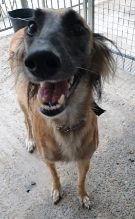 sammy2.jpg