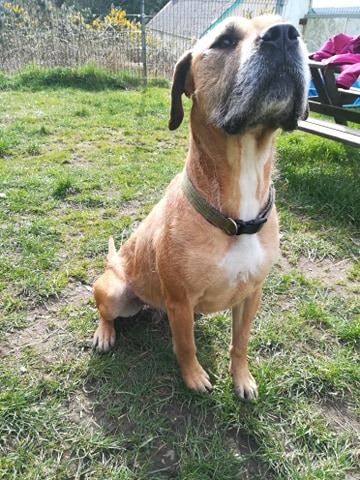 bella-e.jpg