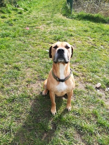 bella-f.jpg
