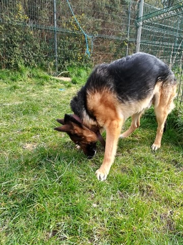 max-1.jpg