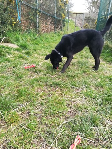 wyn-c.jpg