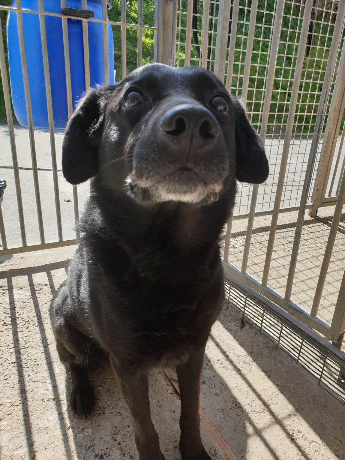 bruno5.jpg