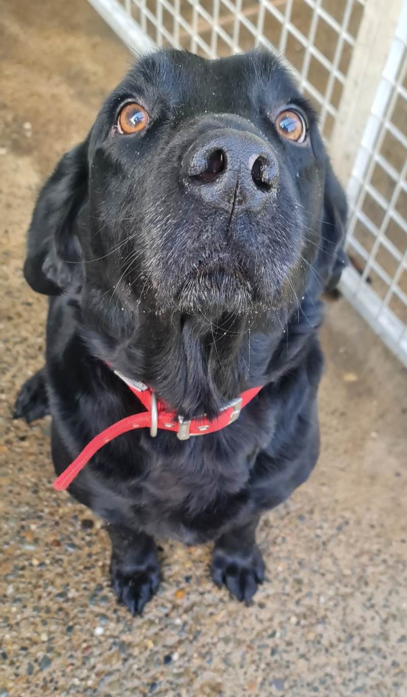 charley.jpg