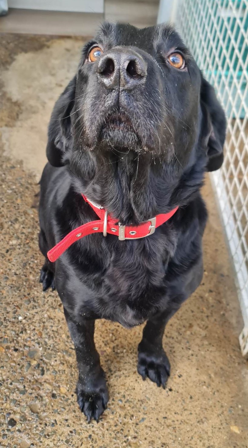 charley3.jpg