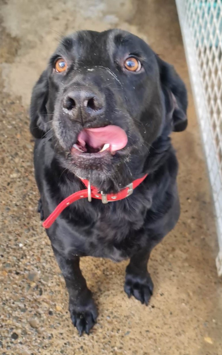 charley4.jpg