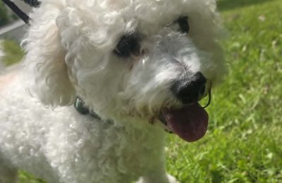 ALFIE