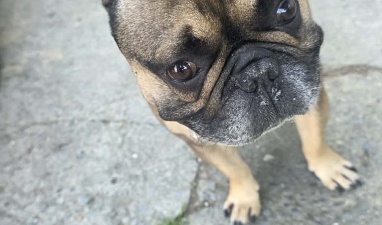 BRUNO – RESERVED