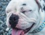 WINNIE