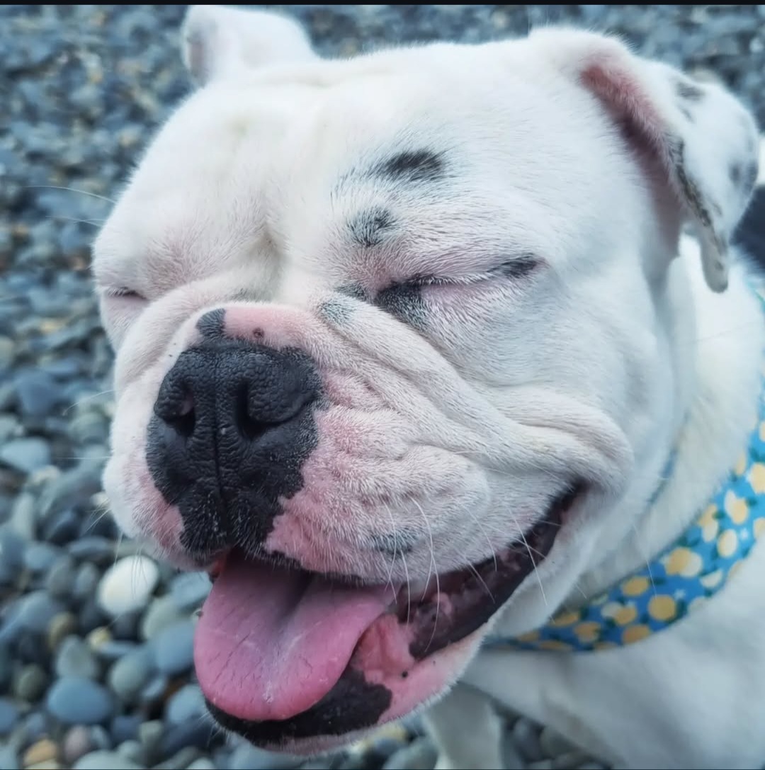 WINNIE